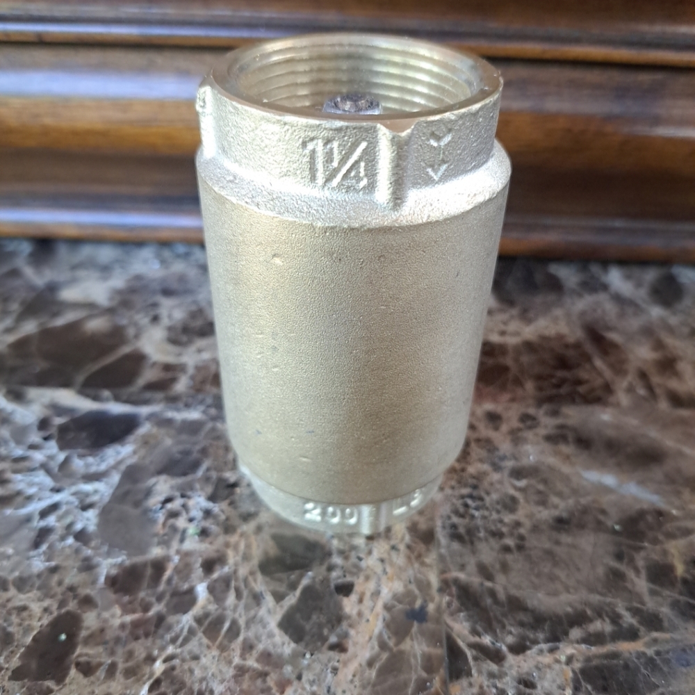 Everflow Lead Free Threaded Spring Loaded Check Valve Brass 1 1/4" 150T034-NL